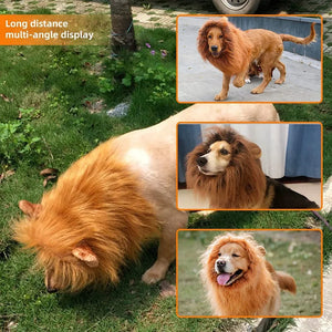 Lion mane costume wig for medium to large dogs