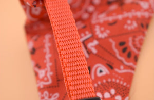 Adjustable triangle bandana scarf collar for dogs and cats