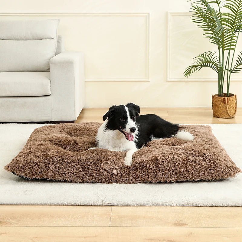 Soft plush cotton sofa bed for dogs and cats