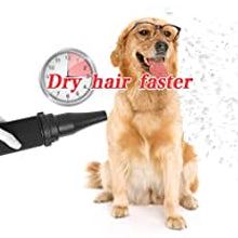 Portable pet grooming dryer and blower with multiple nozzles