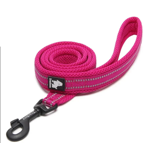 Truelove reflective mesh dog leash in Fuchsia