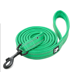 A bright green woven dog leash with a black metal clip and a small black brand patch, coiled on a white background.