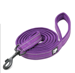 A purple dog leash with reflective silver stripes and a black metal snap hook, coiled on a white background.